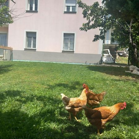 Casa Sergio Грозіо Екстер'єр фото