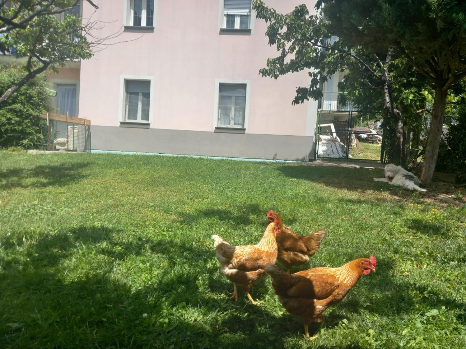 Casa Sergio Грозіо Екстер'єр фото